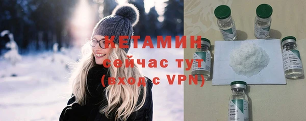 сатива Новодвинск
