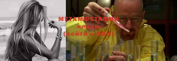 сатива Новодвинск