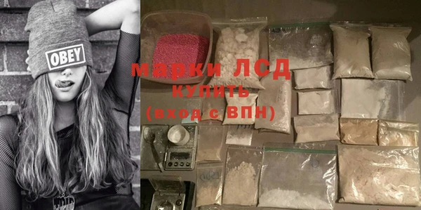 сатива Новодвинск