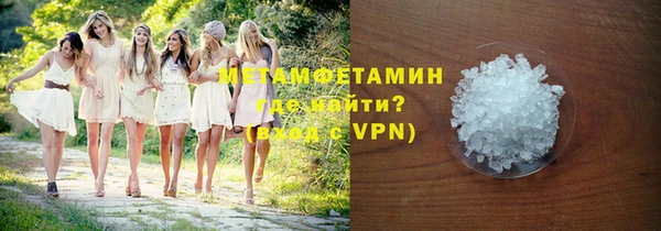 сатива Новодвинск