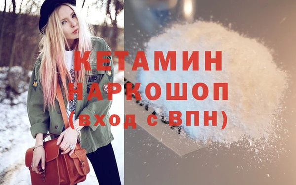 сатива Новодвинск