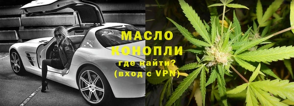 сатива Новодвинск