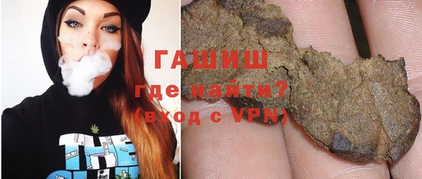 сатива Новодвинск