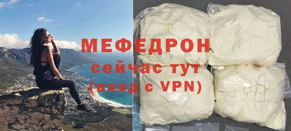 сатива Новодвинск
