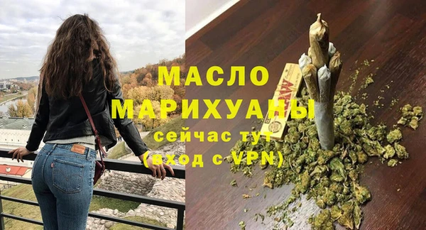сатива Новодвинск