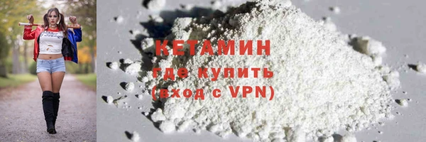 сатива Новодвинск